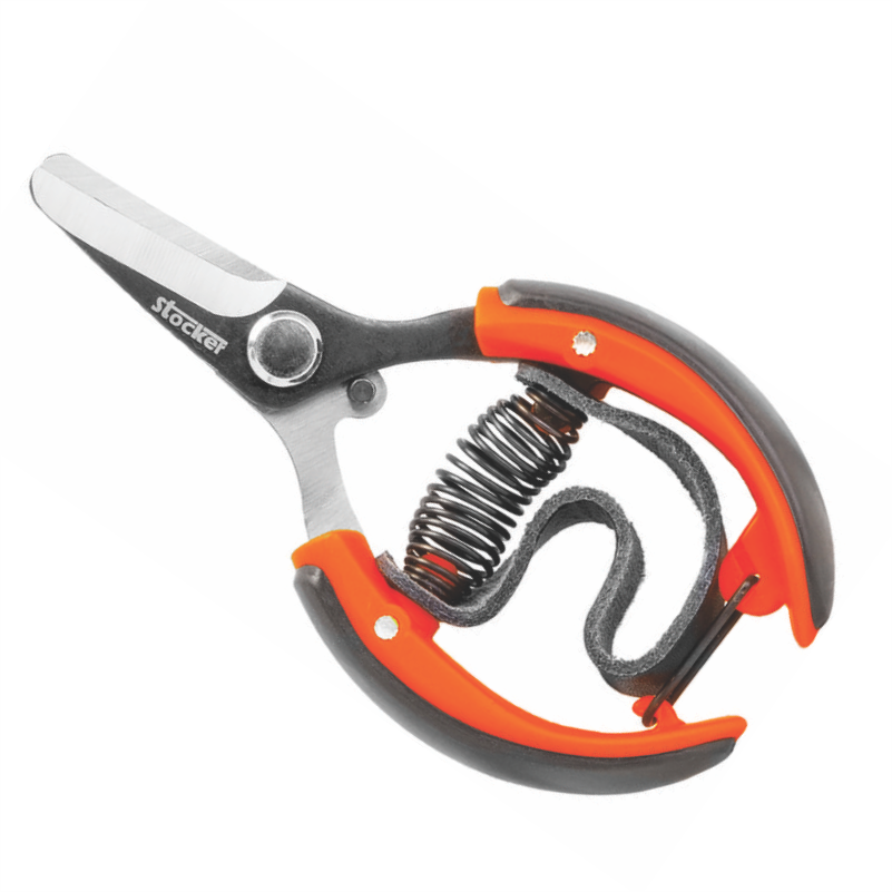 GERSHERE PER KRASITJE KOD. 349