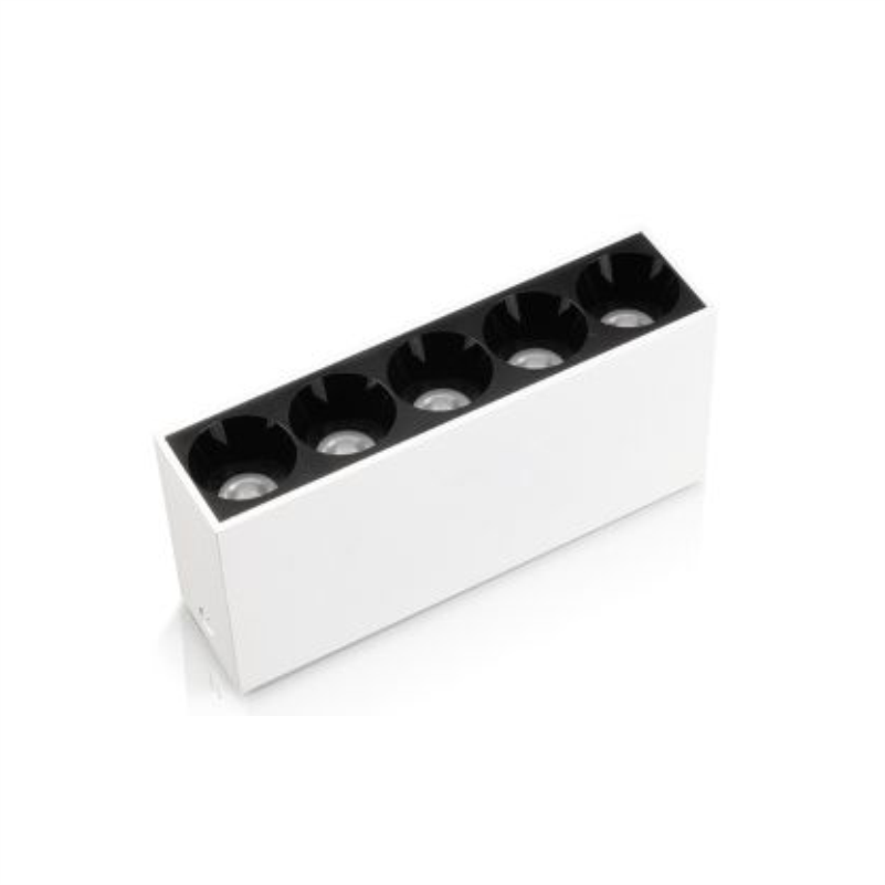 DRITE LINEARE OG CB-DLMX205-WH 220V 5*2W 4000K