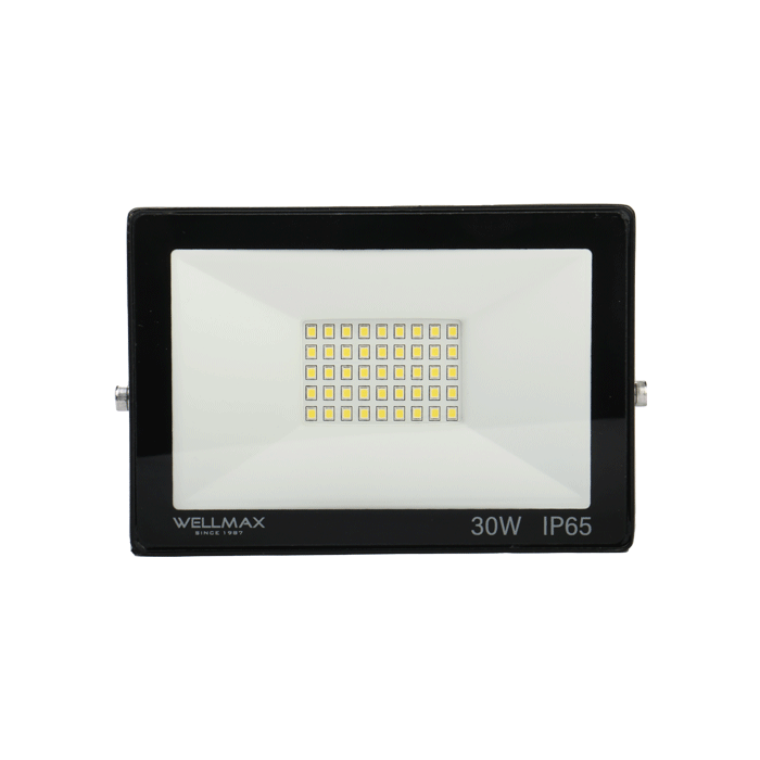 REFLEKTOR WELLMAX 30W 6500K