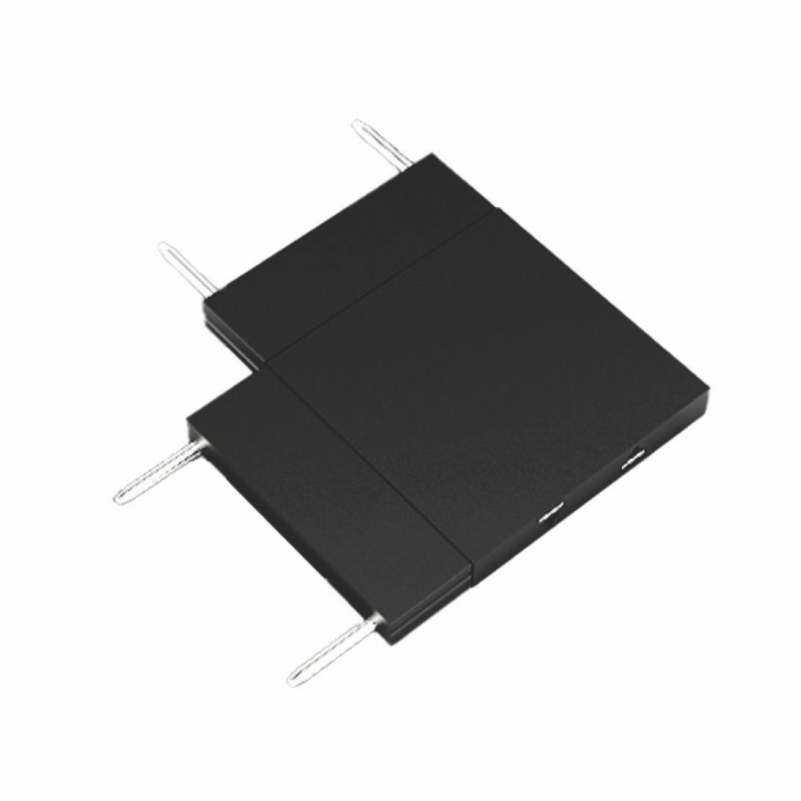 LIDHESE MAGNETIKE L