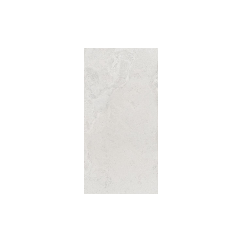 GRANIT EC.RLV.DANBURY BLANCO 60*120