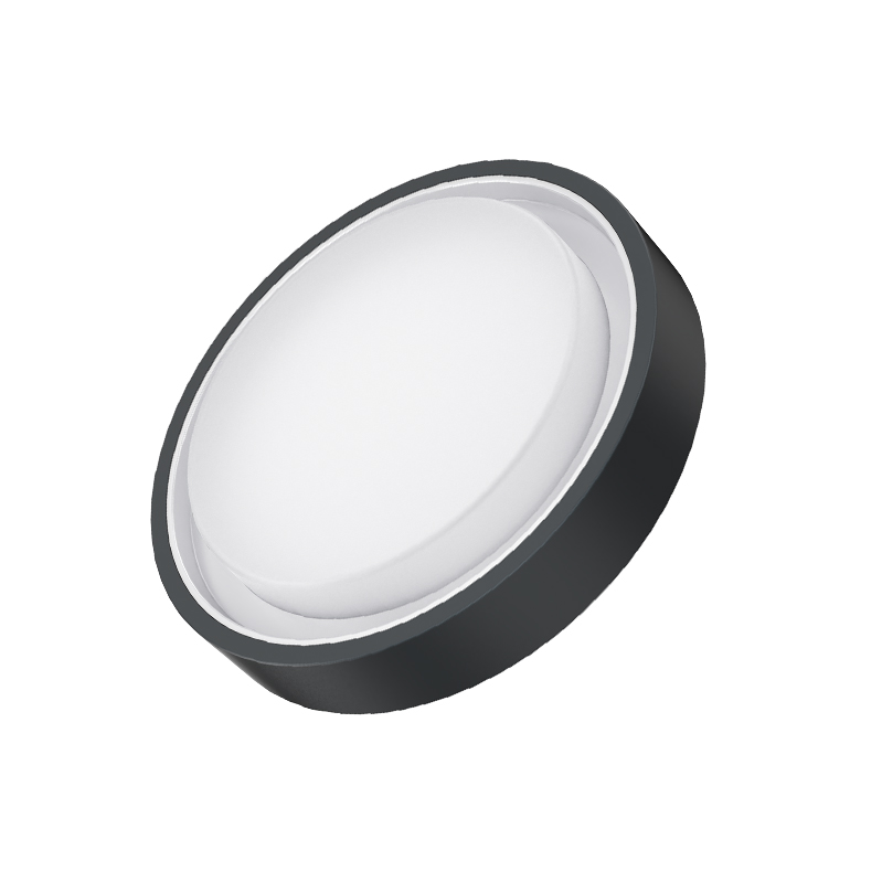 PLLAFONJERKA LIPER LP-DL30MF01-YB 6500K BK 30W IP65