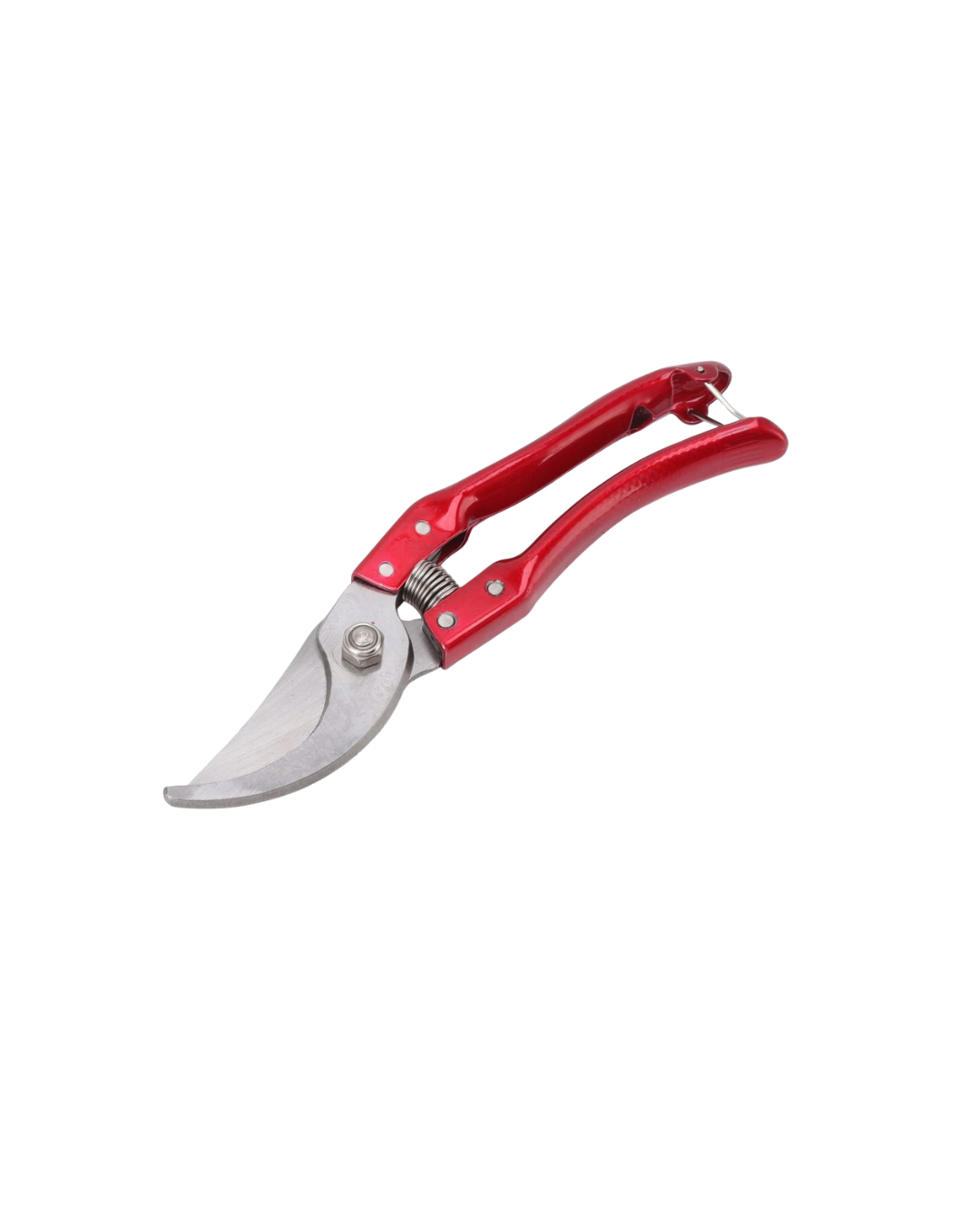 DANA PER KRASTITJE 8'' 20CM AG54-27